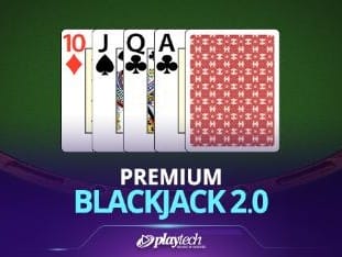 Premium Blackjack screenshot